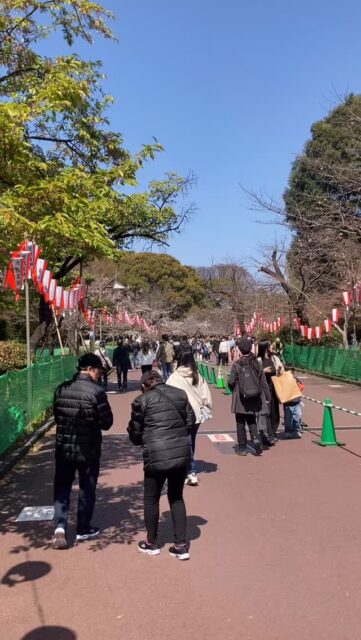上野公園噴水ステージに到着しまいたぁ🚶‍♀️
今日は珍しく動画のアップ致しました🌸📹
皆様と盛り上がって来ます🎤✨
上野さくらフェス2026🌸
いえいっ🤗✨✨✨